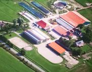 Pferdehof